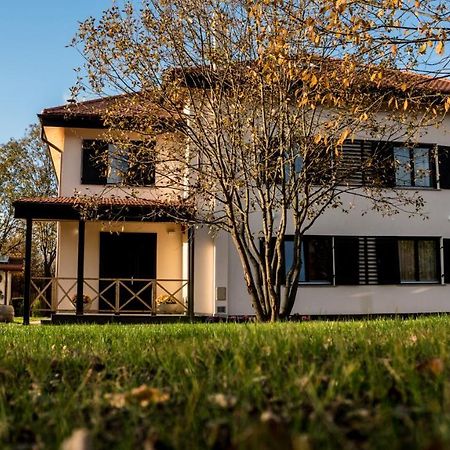 Pensiunea Negoiu Porumbacu de Sus Luaran gambar