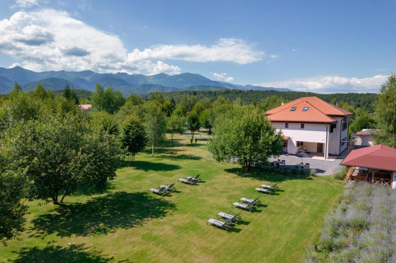 Pensiunea Negoiu Porumbacu de Sus Luaran gambar