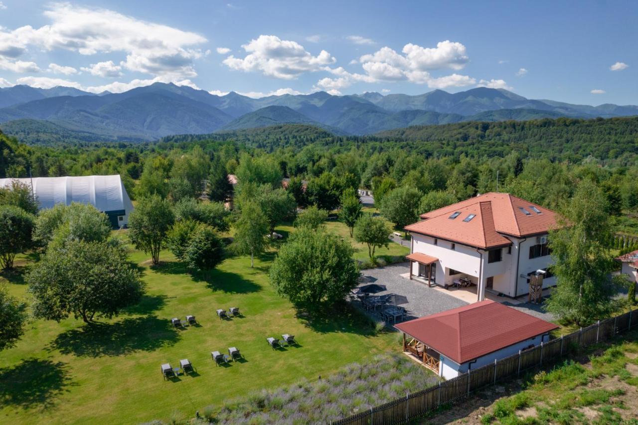 Pensiunea Negoiu Porumbacu de Sus Luaran gambar