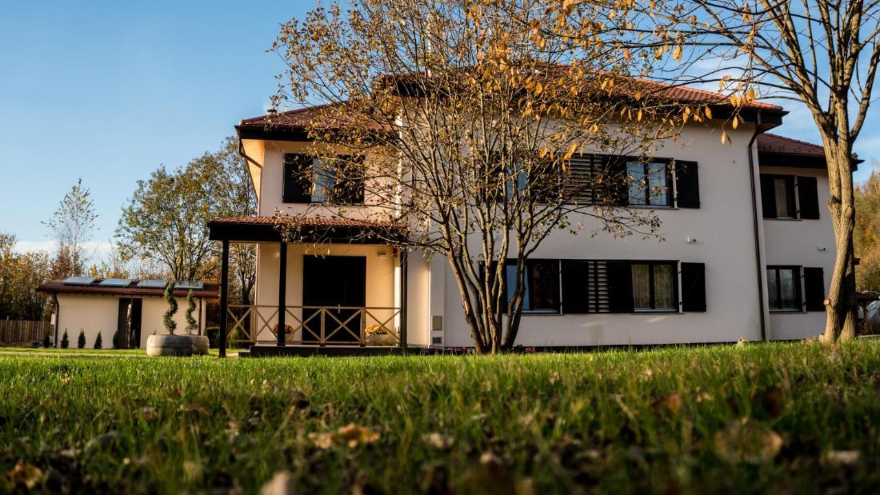 Pensiunea Negoiu Porumbacu de Sus Luaran gambar
