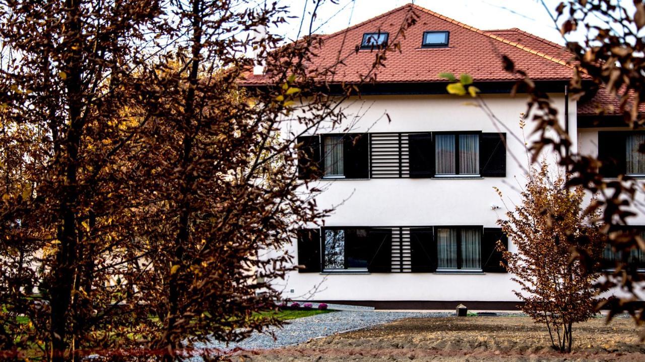 Pensiunea Negoiu Porumbacu de Sus Luaran gambar