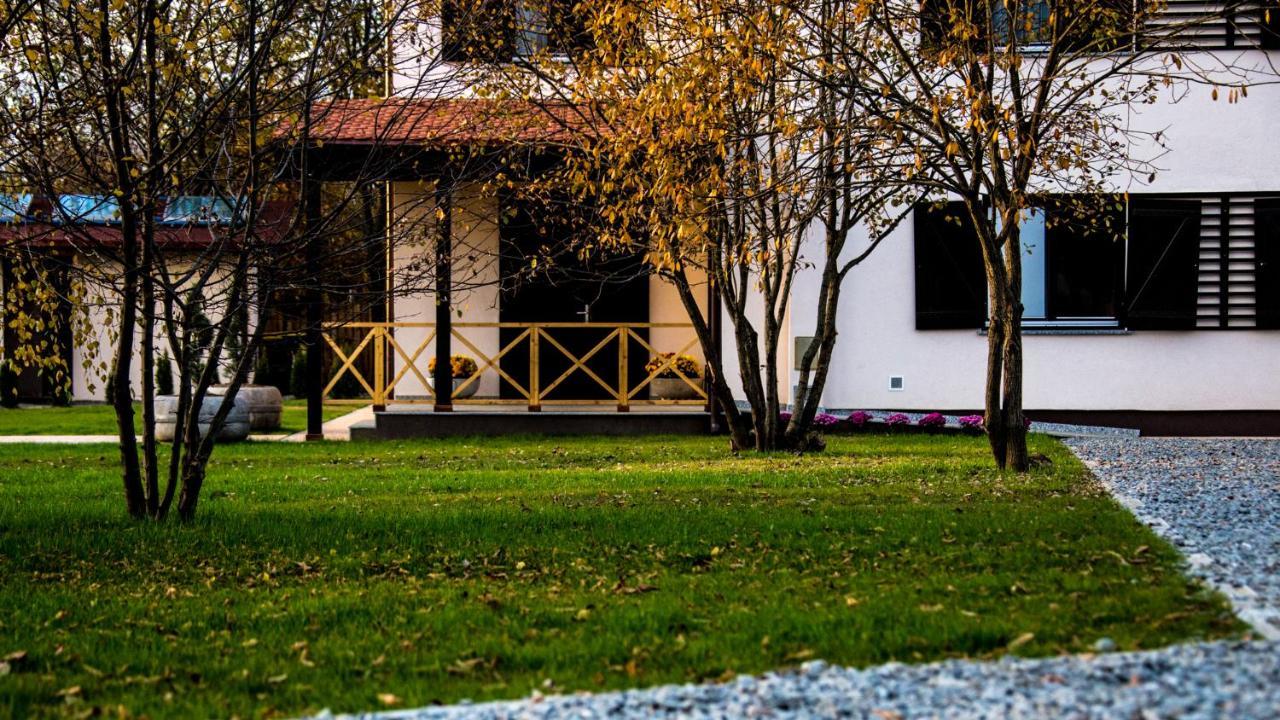 Pensiunea Negoiu Porumbacu de Sus Luaran gambar